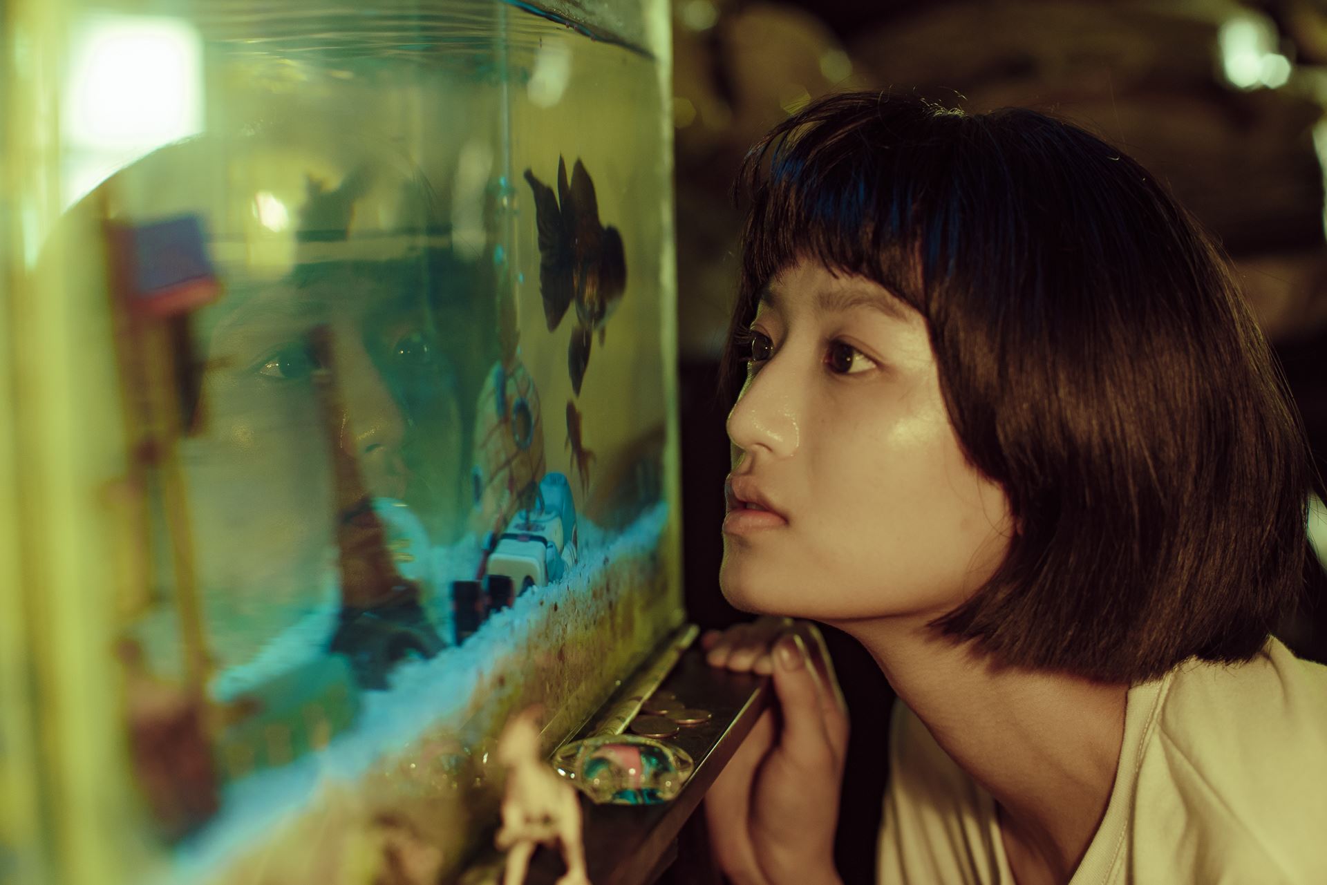 アンコール上映_金魚の記憶