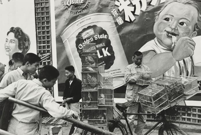 攝影家楊基炘拍攝街頭日常景象，捕捉戰後臺灣社會景況。楊基炘，〈奶粉廣告〉，1957，國家攝影文化中心典藏。