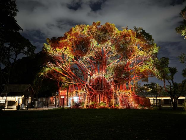 「大樹榕光」以光影、水霧，音樂，打造國漫館園區夜間充滿律動的空間氛圍。