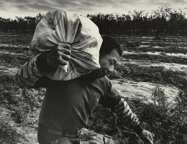 邱德雲拍攝農民辛勤下田的勞動身影。構圖呈現出肢體的力量，傳達勞動者的辛勤與精神。邱德雲，《汗流脈絡》系列，1960－1970，國家攝影文化中心典藏。
