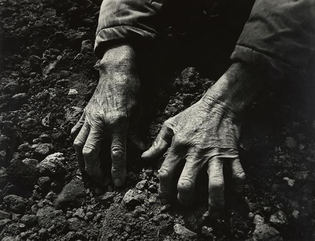 邱德雲用鏡頭特寫農民掬著土的手部姿態。黑白影像清楚展現了手部紋理與土地肌理，呈現勞動者的力量。邱德雲，《汗流脈絡》系列，1960－1970，國家攝影文化中心典藏。