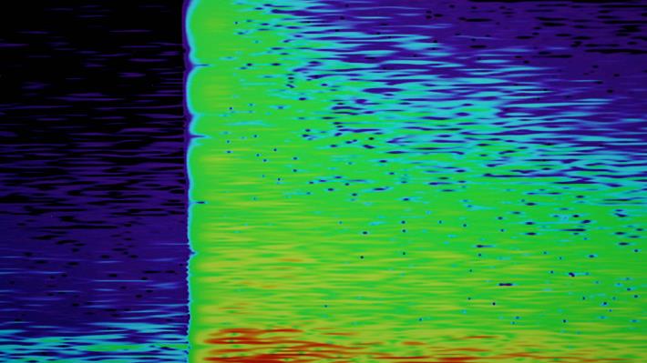 「無序樂章」_Lawrence_Abu-Hamdan_Earshot,_2016_(detail)