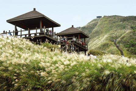 Weekly Cultural Newsletter from Taiwan #676_圖片_5