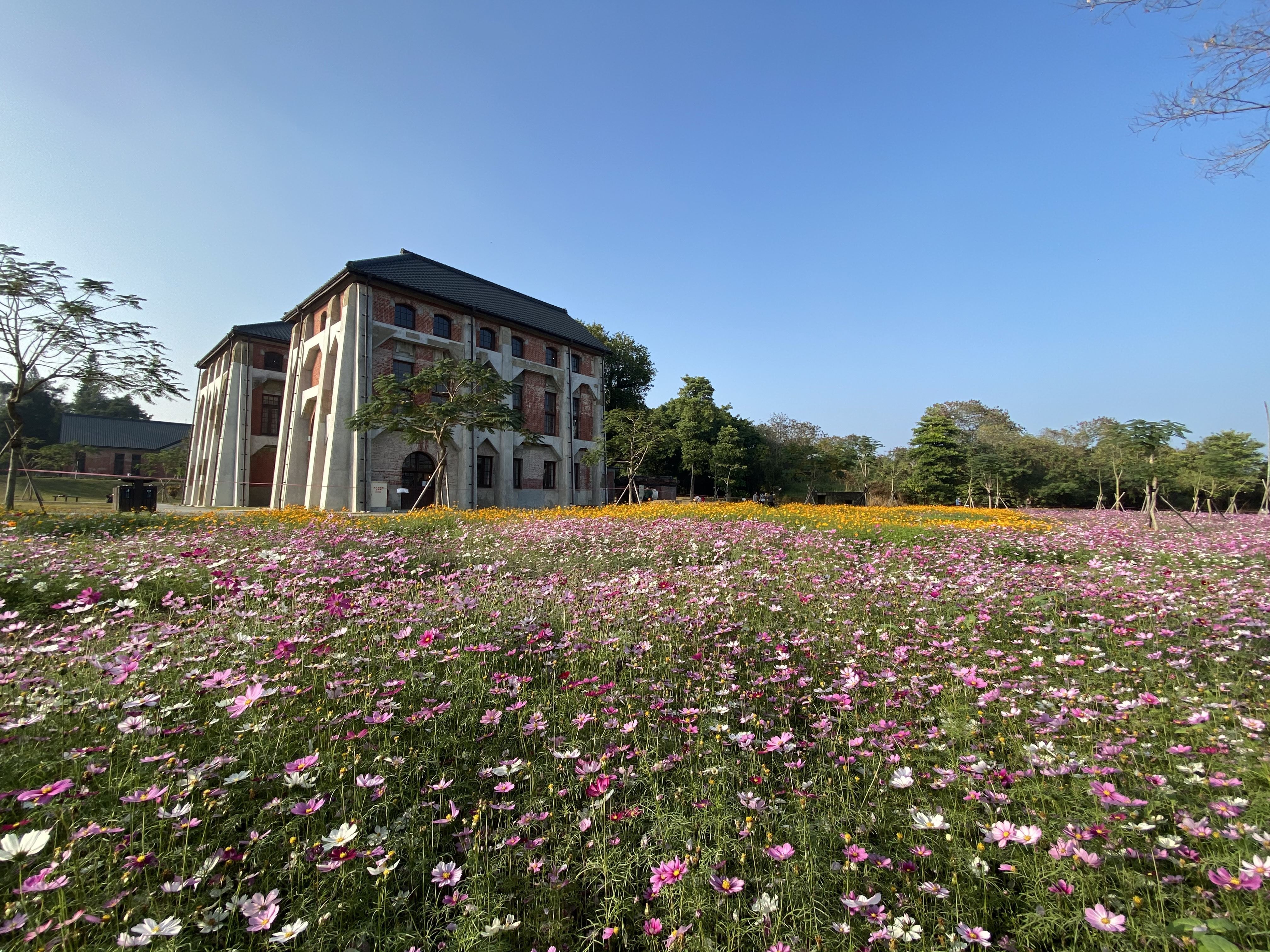 feature2 shan shang garden