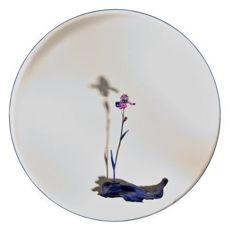 作品〈水〉於局部呈現之鳶尾花