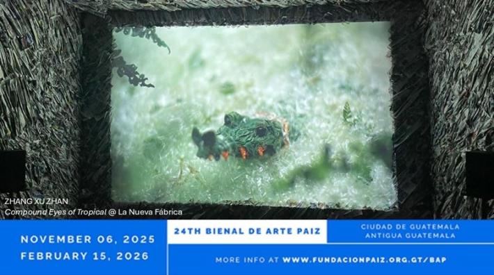 瓜地馬拉Arte Paiz雙年展首邀臺灣藝術家張徐展 《熱帶複眼》以紙偶及錄像開拓拉美藝術版圖