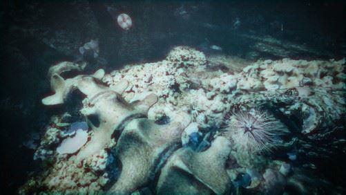 PAN Jin, 'Looking for Shipwrecks'