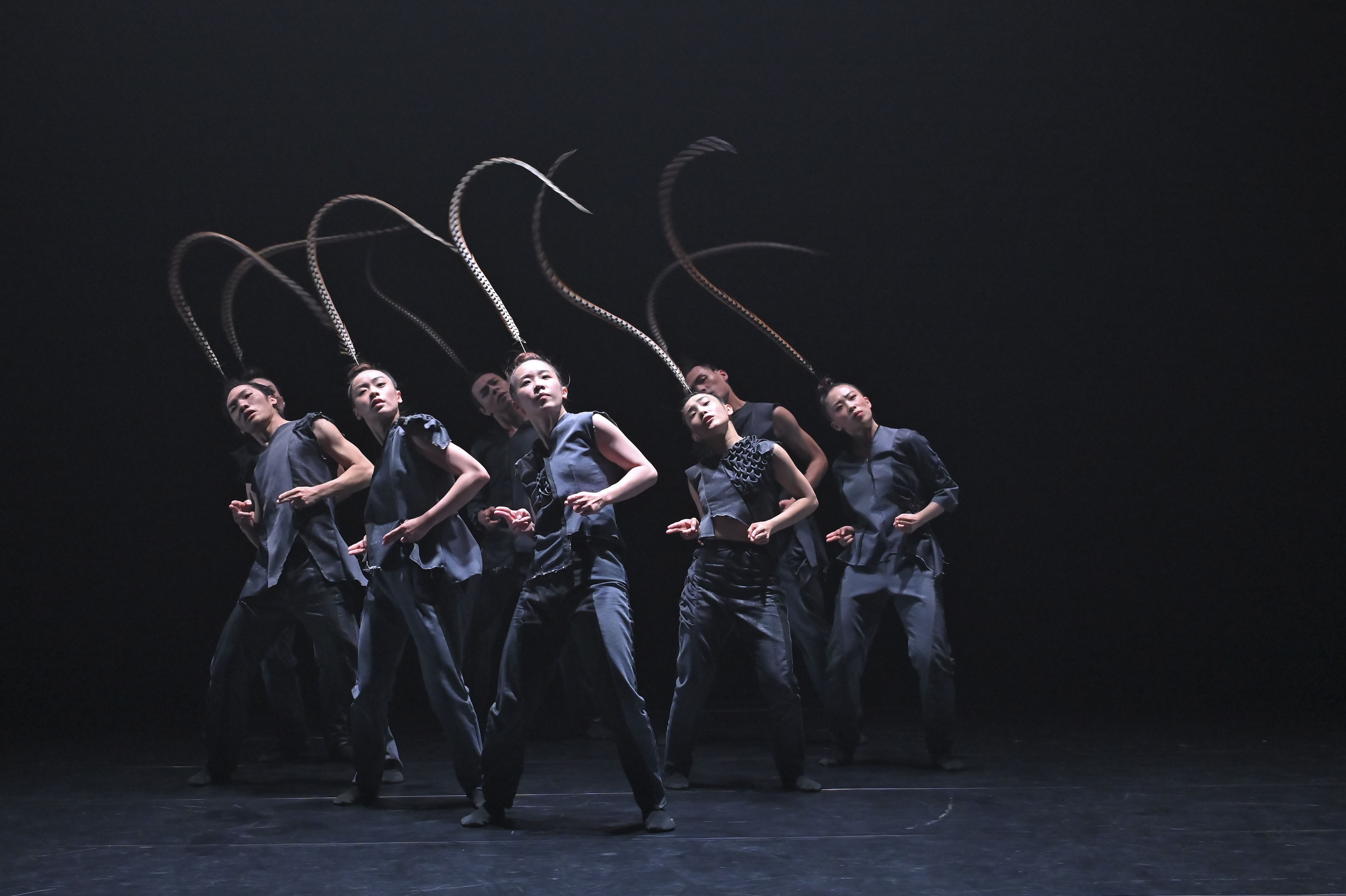 Award-Winning Taiwanese Company Hung Dance Brings the Acclaimed Production BIRDY to New York for a Limited Engagement at NYU Skirball on July 17 & 18