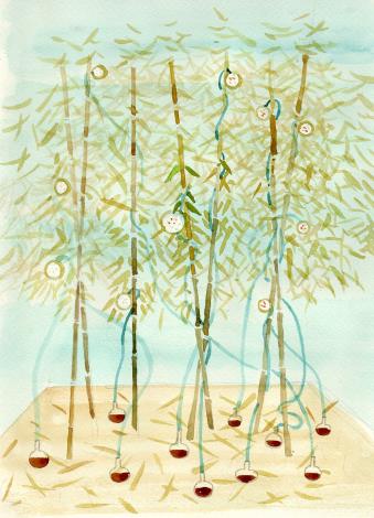 王煜松，〈微生物寫生〉，2024。作品草圖（進行中）。圖片由藝術家提供。Wang Yu-Song , Microbial Studies, 2024. Sketch (work in progress). Courtesy of the artist