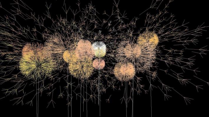 09_艾德蒙．庫歇和米歇爾．布雷（Edmond COUCHOT and Michel BRET），〈蒲公英〉，2006年，互動裝置：客製軟體、錄像投影、麥克風、不定時循環。© Centre Pompidou, MNAM-CCIDist. GrandPalaisRmn。