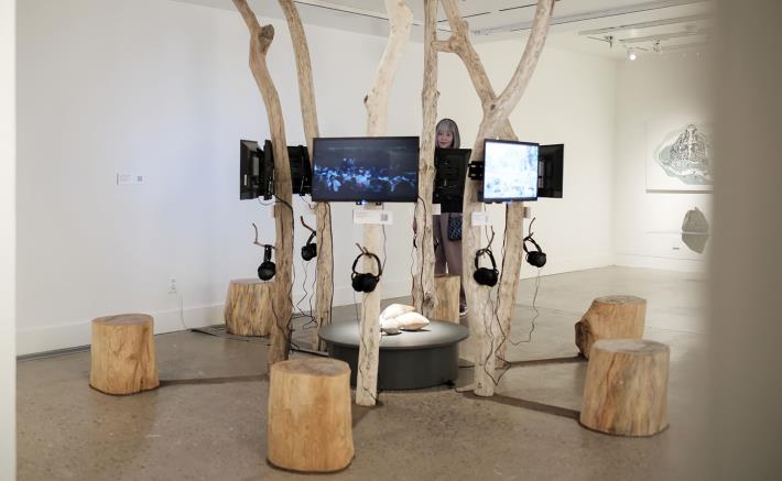 3_Makotaay生態藝術村，〈Makotaay的藝術與行動主義〉，2025，漂流木、24吋電視，尺寸依場地而定，藝術家提供。圖片由美國當代原住民藝術博物館提供。