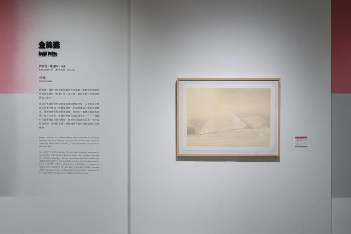 06_「中華民國第二十二屆國際版畫雙年展」金牌獎作品，國立臺灣美術館提供，攝影：ANPIS FOTO 王世邦