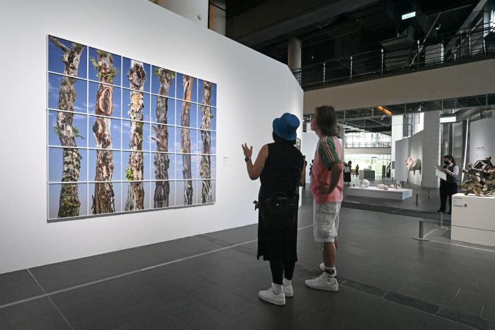 「115年全國美術展」即日起登場，匯聚全國藝術創作能量。