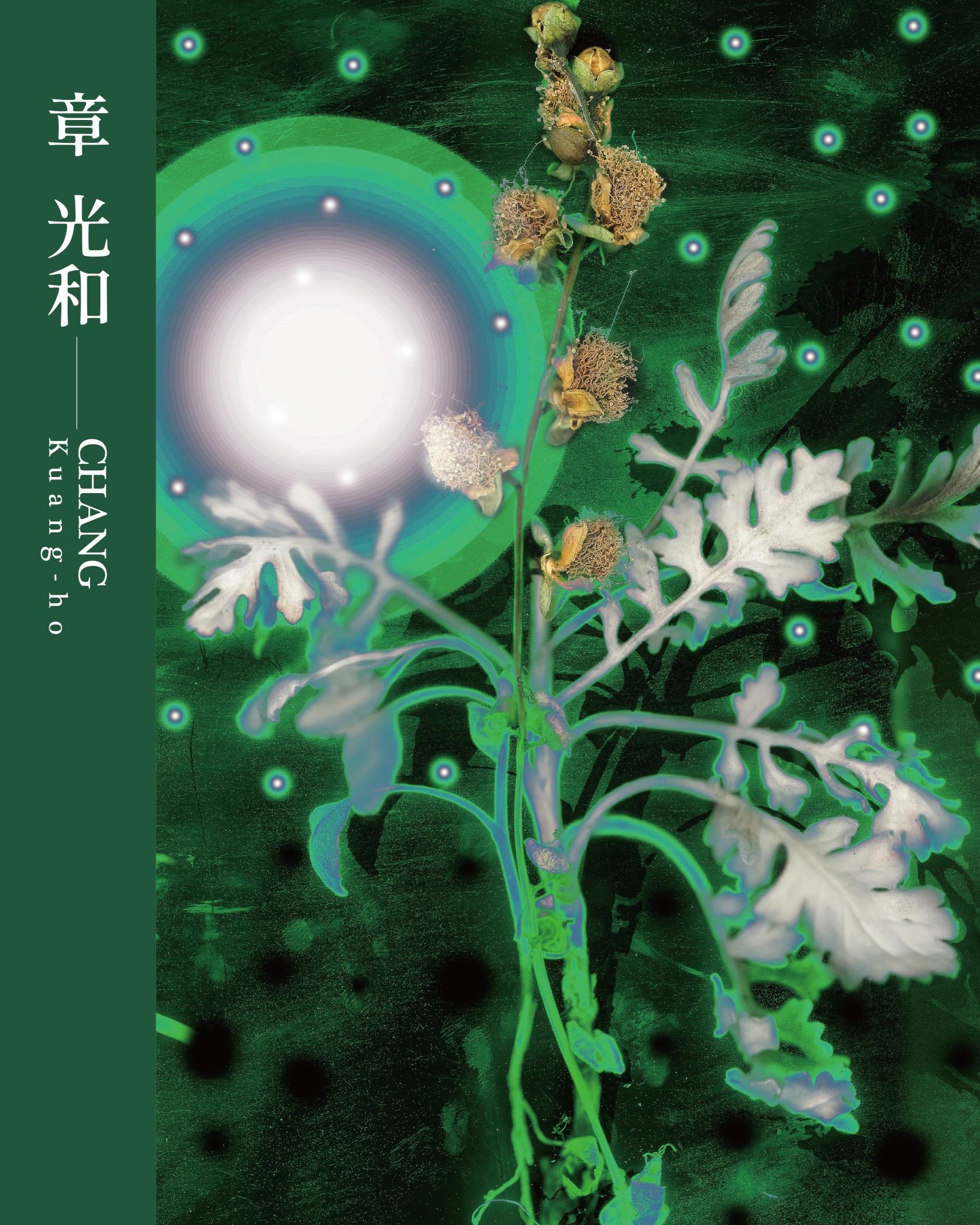 《臺灣攝影家：章光和》