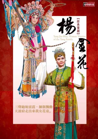 《楊金花》DVD