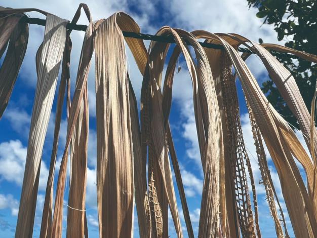 染上福木、薯榔及藍靛等植物顏色的香蕉絲織布。（陳淑燕提供）