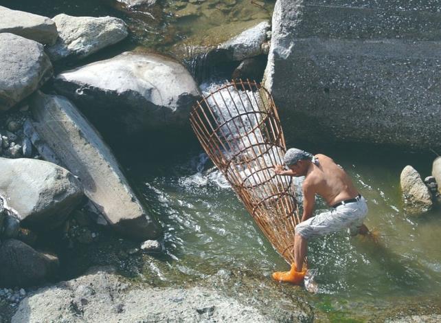 在大水之後去湍急河流中捕魚的噶瑪蘭族Sanku漁筌，一體成型的簡樸竹編方式，體現著噶瑪蘭族人的生態智慧。（陳淑燕提供）