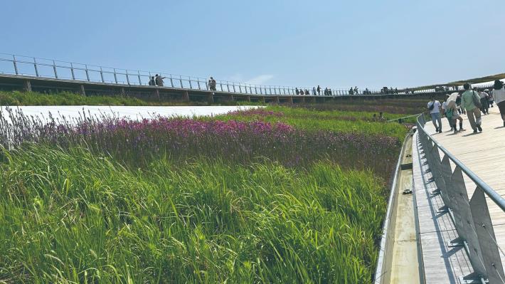 大屋根上的觀賞平臺，可以讓你遠眺海、綜觀世博全景，美麗的造景也十分怡人。