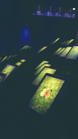 一段影片充分將臺灣來自自然深根於人民和土地的溫潤特色彰顯而出，世界知名的晶片牆和全球唯一的蘭花染色技術，呼應了TW剛柔並濟的豐沛能量。