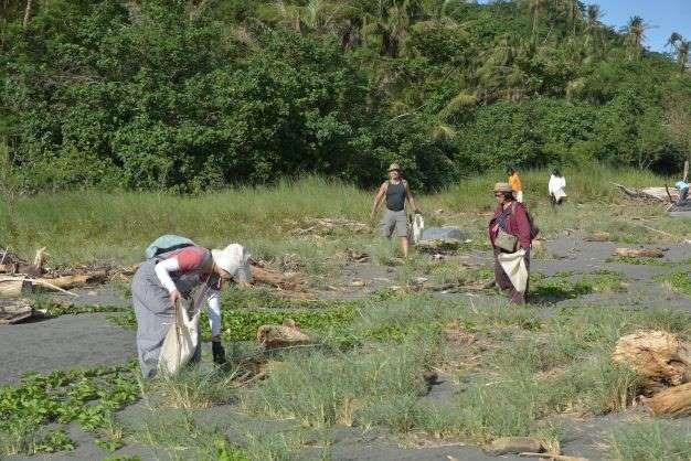 圖2－草地裡躲藏了最多的海廢，是淨灘的重點！