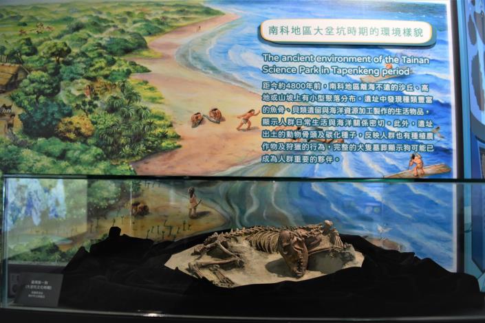 臺灣第一狗