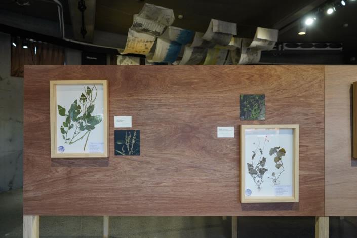 《 O lengaw ko piha pinangan no ’ori p 植物與人的社會生命 》_胡哲明 羅素玫 國立臺灣大學植物標本館