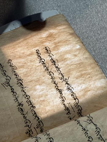 樹皮紙經書部分有蟲蛀，手工敲打的樹皮書頁薄可透光，並可見樹皮纖維及橫紋壓線