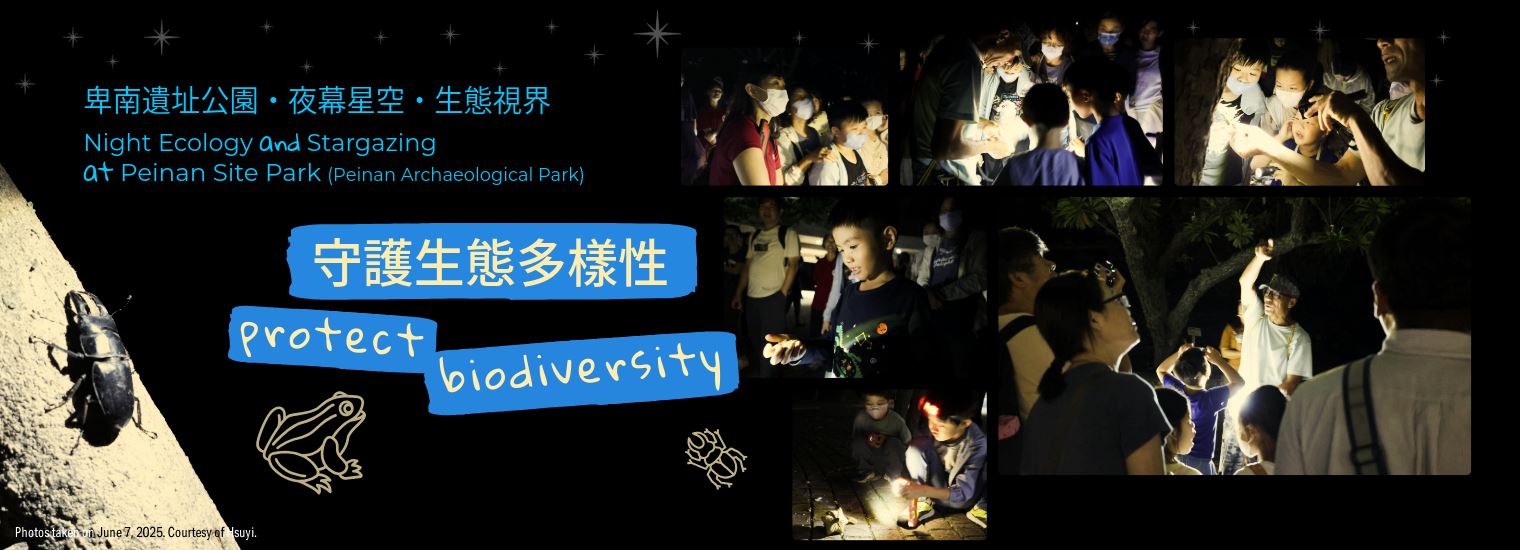 守護生態多樣性：夜幕星空生態視界