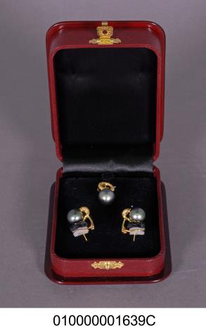 珍珠耳環鍊墜組