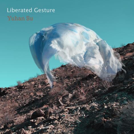 Album 'Liberated Gesture' 