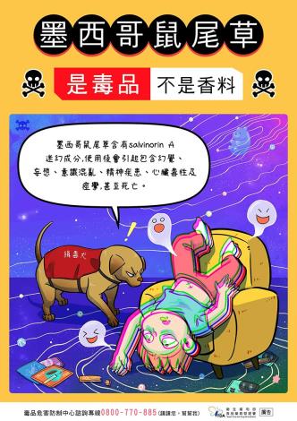 15墨西哥鼠尾草是毒品不是香料