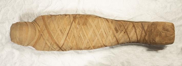 義大利佛羅倫斯國立考古博物館典藏之女性木乃伊© Museo Archeologico Nazionale di Firenze