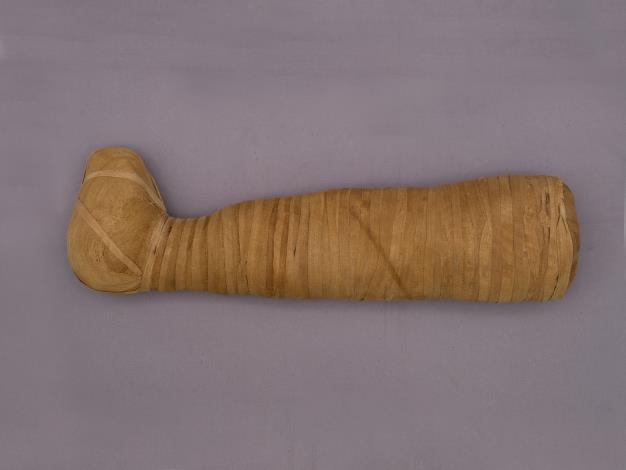義大利佛羅倫斯國立考古博物館典藏之犬木乃伊© Museo Archeologico Nazionale di Firenze