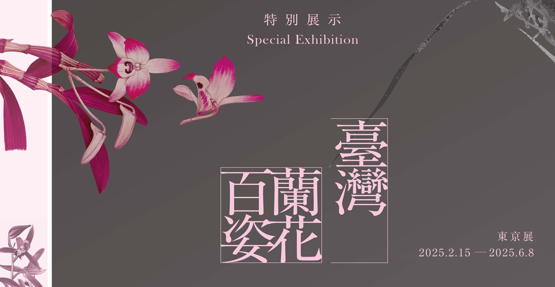 Formosa Orchids Blossom – Tokyo Exhibition