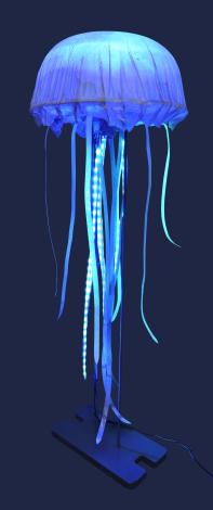 水母001-