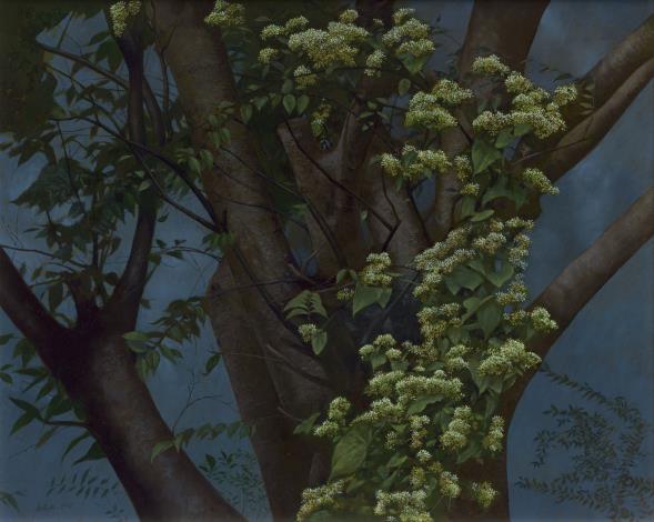 吳瑜桓  蔓延系列之三共生   Sprawl Series 3 -Symbiosis 油畫 80x100cm 2025