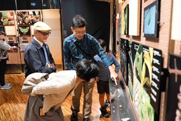 《島嶼飛行》特展透過蝶蛾影像與對應的實體標本共同呈現臺灣在地的生物多樣性