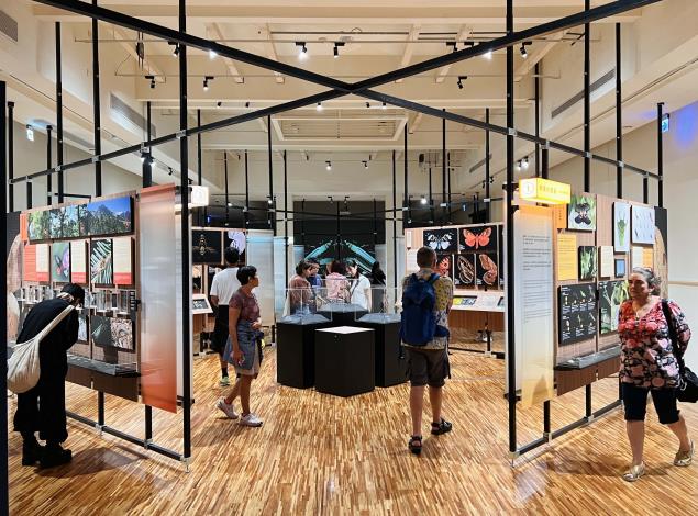 特展展架採用可重複拆卸、再利用的模組化結構，營造兼具質感與永續理念的展場氛圍