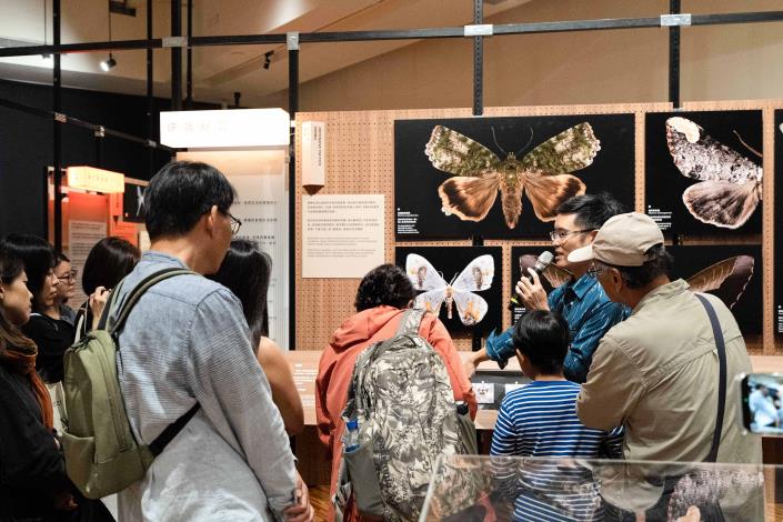 策展人吳士緯介紹臺灣蝶與蛾面對日間鳥類天敵的生存策略