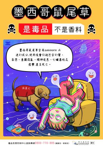 15墨西哥鼠尾草是毒品不是香料