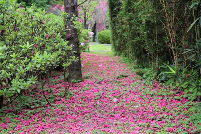 拼花地毯