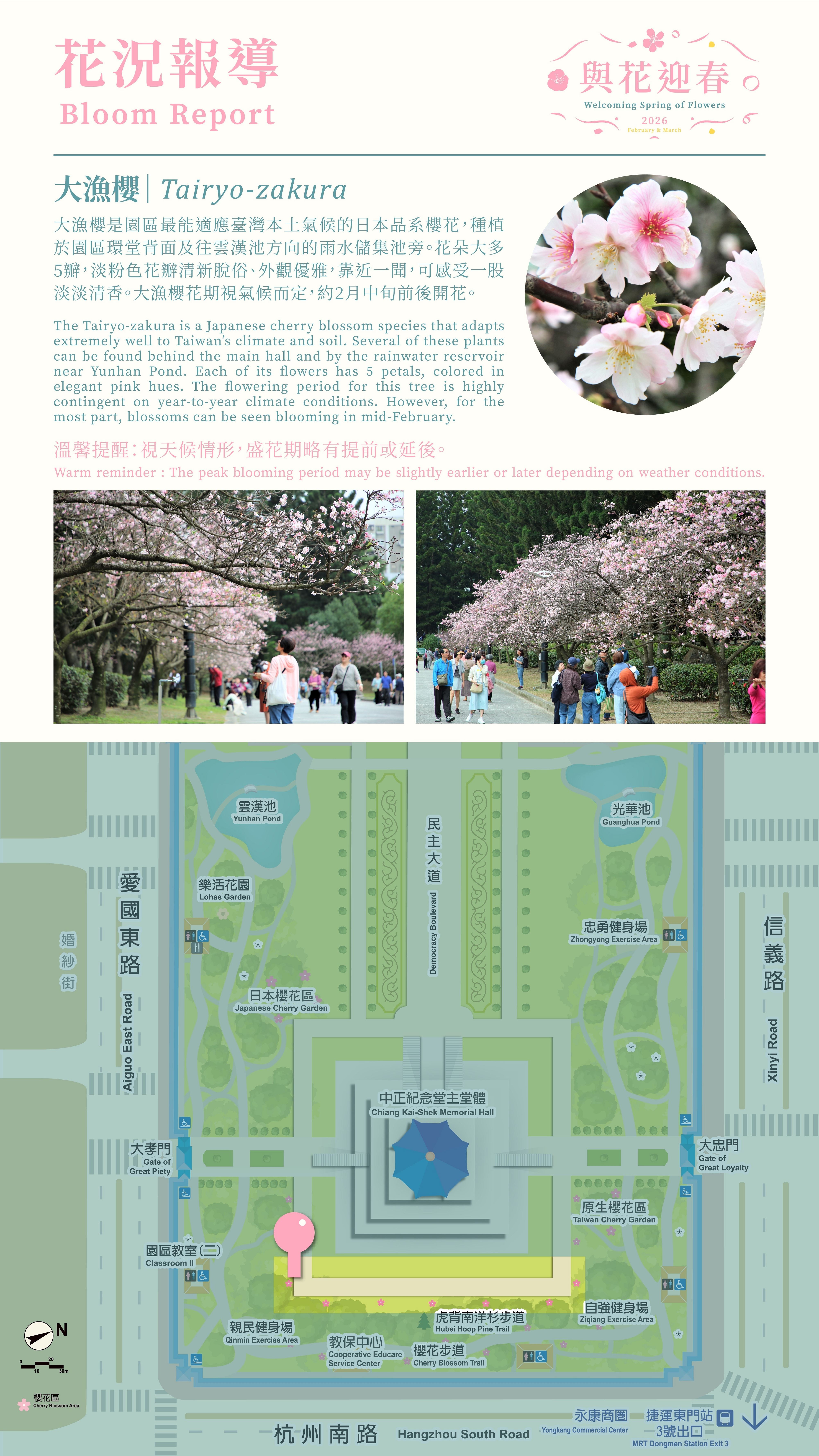 大漁櫻是園區最能適應臺灣本土氣候的日本品系櫻花，種植於園區環堂背面及往雲漢池方向的雨水儲集池旁。花朵大多5瓣，淡粉色花瓣清新脫俗、外觀優雅，靠近一聞，可感受一股淡淡清香。大漁櫻花期視氣候而定，每年約2月中旬前後開花。