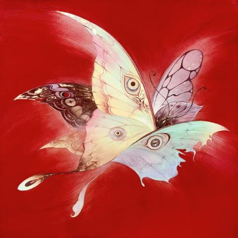 羅上宇 糾纏 2024