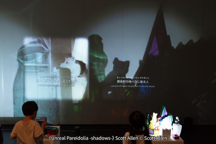 Unreal Pareidolia -shadows- 幻想錯視界－影子 - Scott Allen