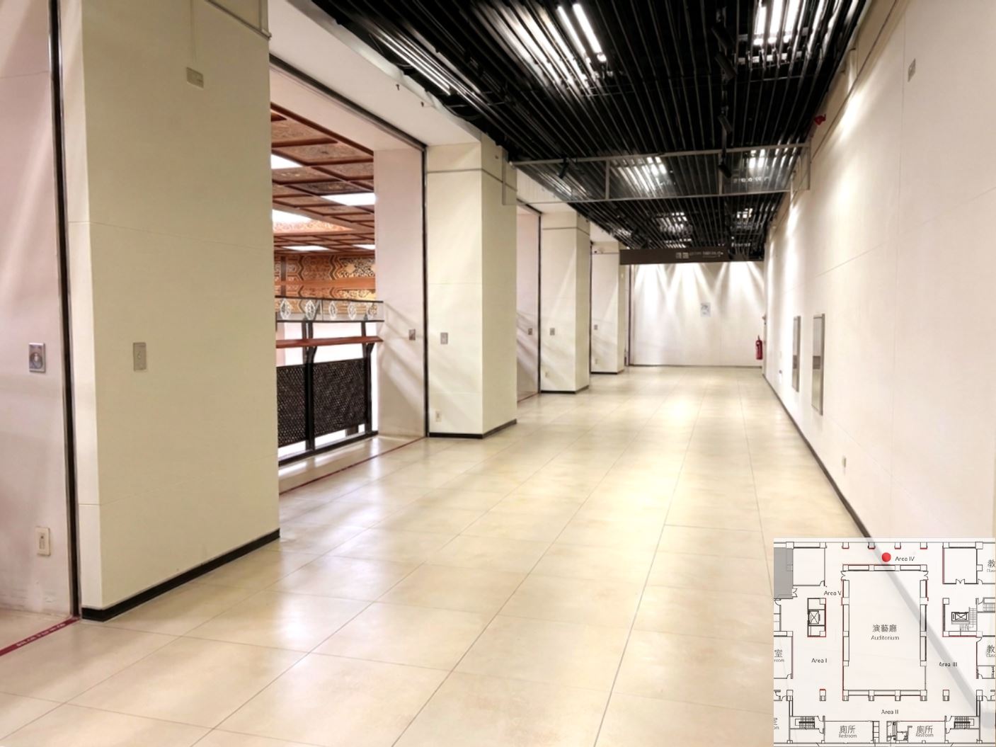 Area IV