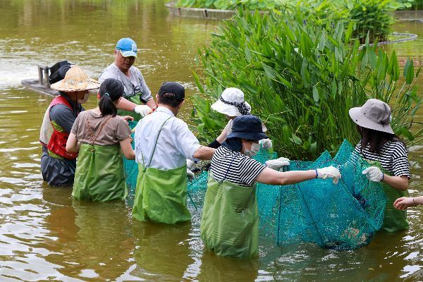 5. 體驗-外來種魚類觀測