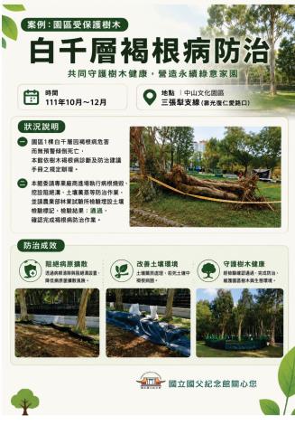 案例二受保護樹木白千層褐根病防治