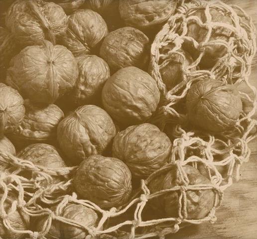 典藏圖片 - 啼聲初試(靜)