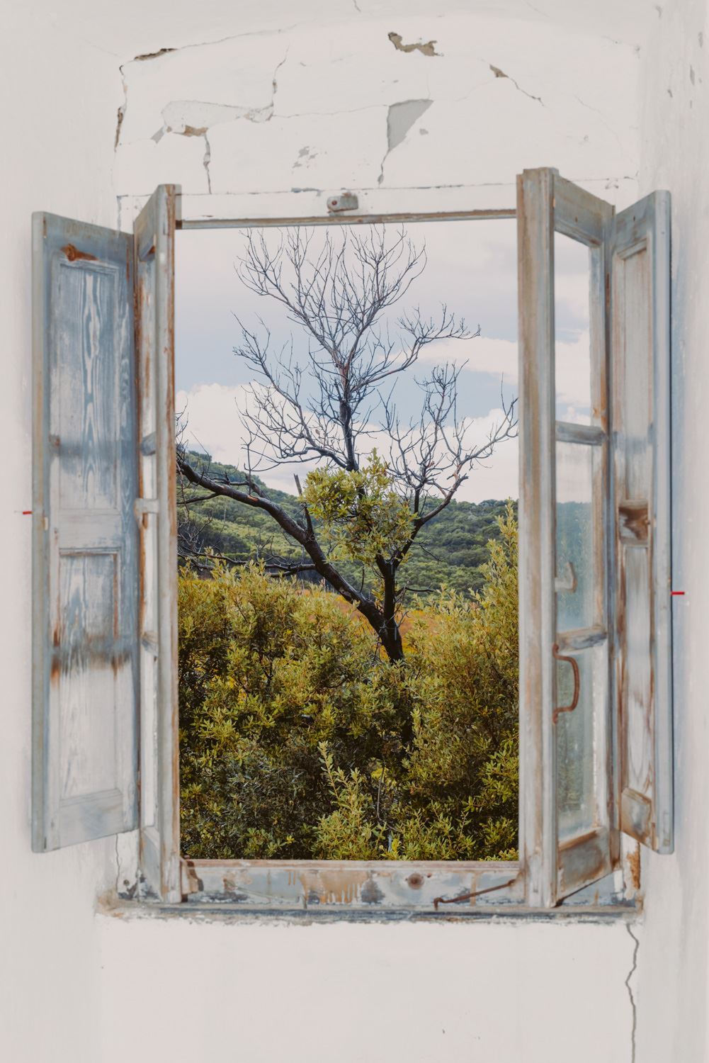 Fabricated Nature