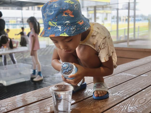 挑戰表面張力的極限